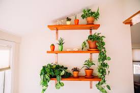 Homemaking A Plant Wall Live Love Simple