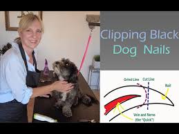 clipping black dog nails with grinding