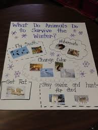 Image Only Animal Survival In Winter Anchor Chart Winter