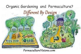 Organic Gardening And Permaculture