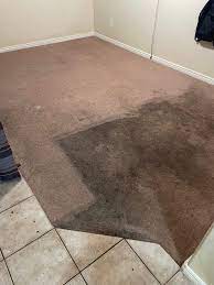 accurate carpet cleaning in clearwater