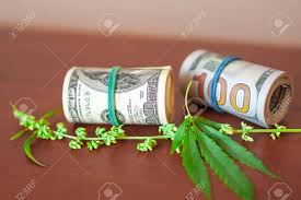 Escobar simply had more money than he knew to do with, so haphazardly losing money to rodents and mold wasn't an issue. Cannabis With Seeds And Dollars In Money Tied With A Rubber Band The Concept Of The Production Of Marijuana Products And Businesses Cbd Hemp Oil From Natural Cannabis Stock Photo Picture And Royalty