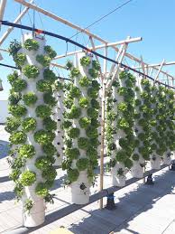 What to do if you want to grow vegetables at home but have very little space? Pvc Pipes Help Make World S Largest Urban Garden Come True Pvc4pipes
