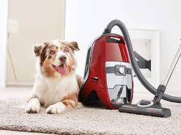13 Best Vacuum Cleaners For Pet Hair To