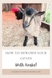 herbal dewormer recipes for goats