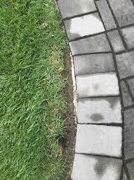 Gap Between Patio And Lawn