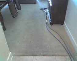 clean advane carpet care reviews