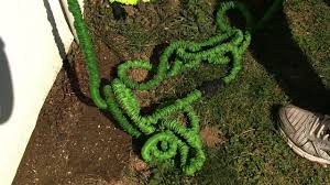 expandable garden hose review