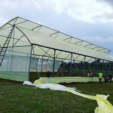 greenhouse construction in kenya 254