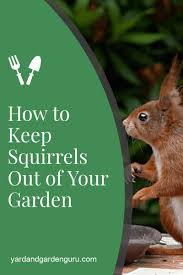 how to keep squirrels out of your garden