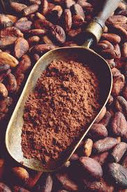 Cocoa Flavanols Could Be Good for Your Brain - Tufts Health & Nutrition  Letter
