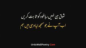 best sad urdu poetry in 2 lines copy