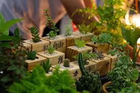 Interesting Outdoor Herb Garden Ideas