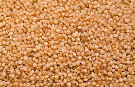 amaranth grain nutrition facts