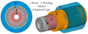 squirrel cage induction motors