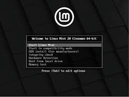 how to install linux mint 20 unixmen