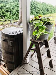 Garden Rain Barrel Tips And Benefits