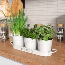 Decorative Herb Pots With Tray Decorate