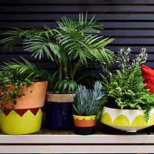 paint terracotta pots to brighten gardens