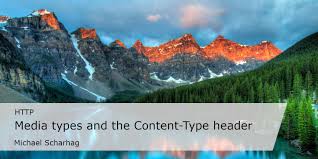 a types and the content type header
