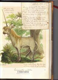 The beautiful illustrations in gouache and pencil, seemingly modeled after. Unicorn Spiderwick Chronicles Wiki Fandom