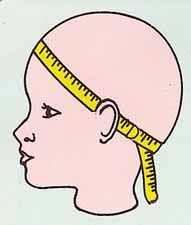 Doll Wigs How To Measure
