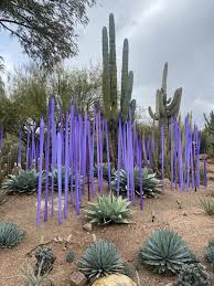 phoenix desert botanical garden