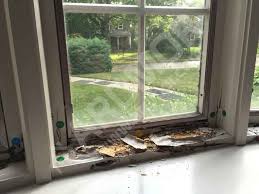 Local Philadelphia Pella Windows Repair