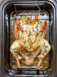 turkey in a roaster oven plowing