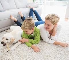 pet stain carpet cleaning bay area