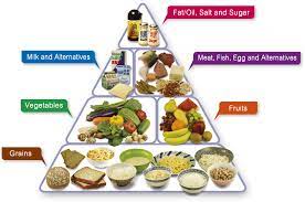 food pyramid a guide to a balanced t