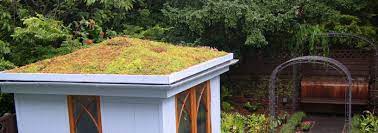 Living Roofs On Garden Sheds Turf