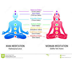 Yoga Chakras Diagram Stock Vector Illustration Of
