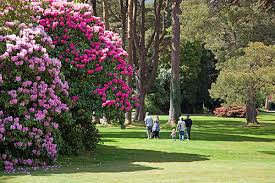 kerry gems muckross gardens are on the