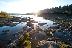 Elk Rock Island | City of Milwaukie Oregon Official Website