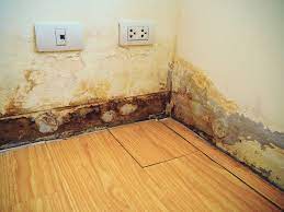 Why Is Water Damage So Dangerous Blog