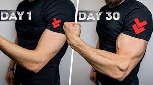 30 days bigger arms challenge home