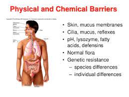 physico chemical barriers of innate