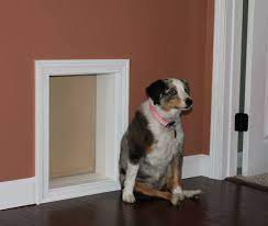 insulated pet doors compare dog door