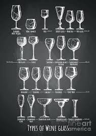 Types Of Wine Glasses Cyberjustice Co