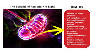 The Ultimate Guide To Red Light Therapy And Near Infrared Light Therapy Updated 2020 The Energy Blueprint