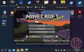 playing minecraft java edition on the