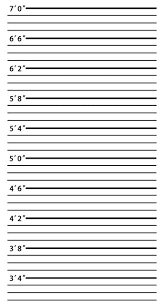 5x7ft Police Body Height Chart Scale Cus 209978 Png