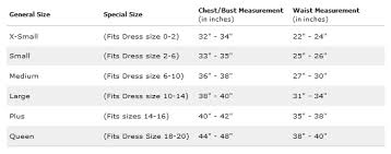Geekshive Secret Wishes Womens Hot Rod Adult Costume Dress