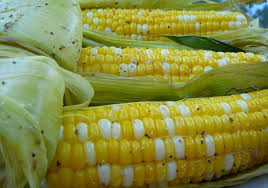 How Should Corn Be Stored?