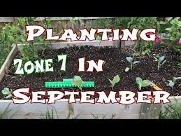 Vegetables To Plant In September Zone 7