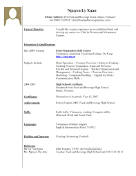 No Job Experience Resume Examples Example Of A Resume No Work