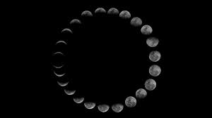 does the moon rotate live science
