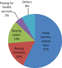a pie chart showing the main spending