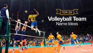 top 25 volleyball team name ideas